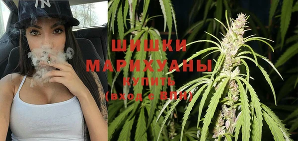 соль ск Алзамай