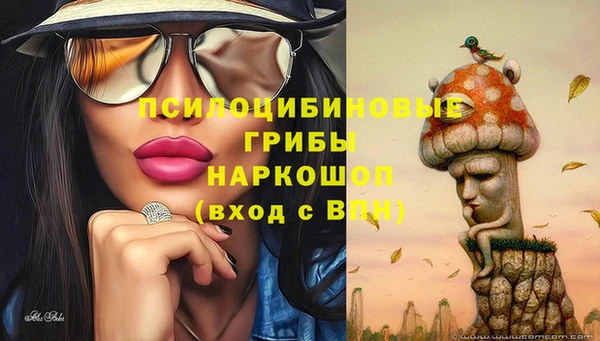 мяу мяу мука Алексеевка