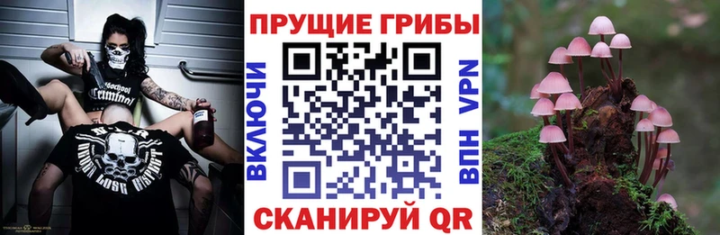 Галлюциногенные грибы мухоморы  наркота  Еманжелинск 